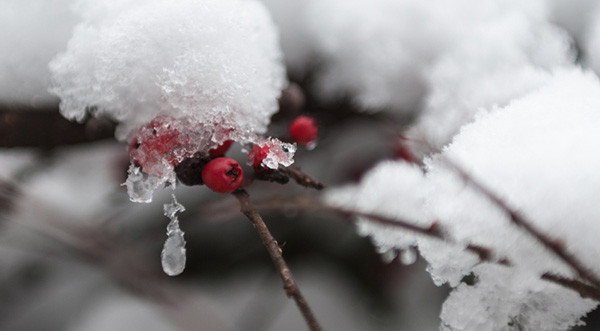 heating company in st louis